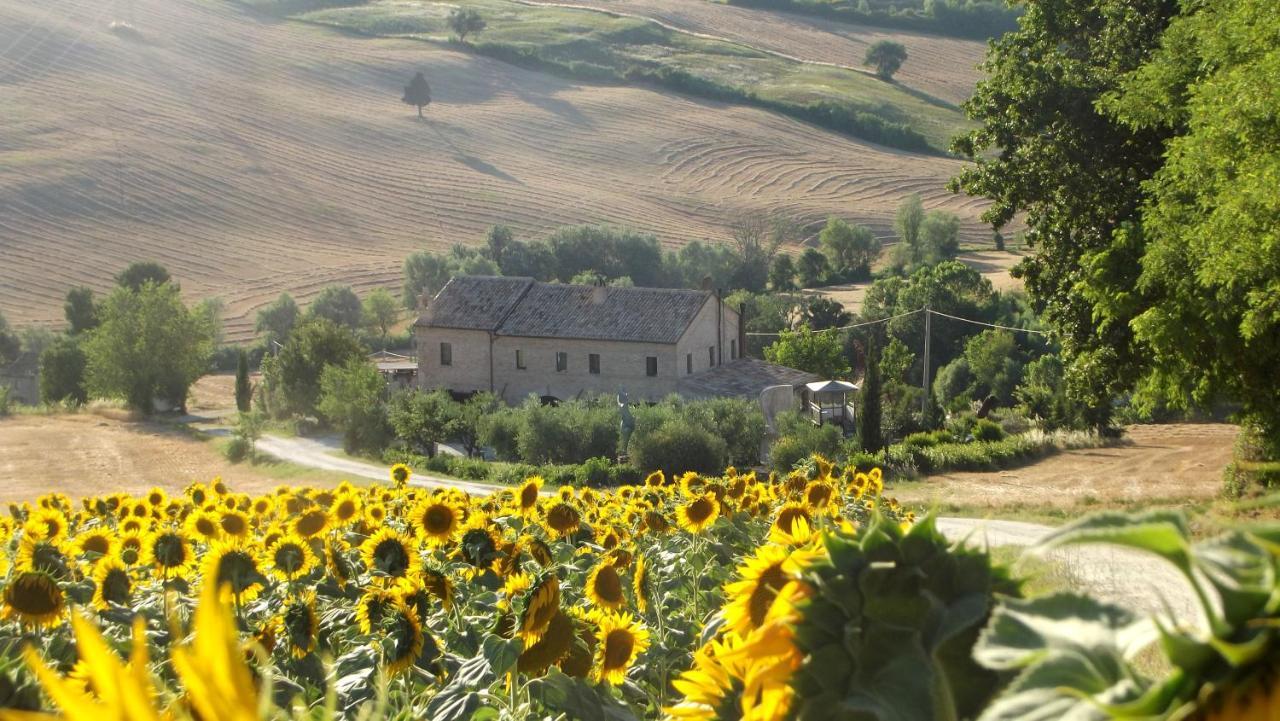 "La Casa Degli Ulivi Art B&B" Trecastelli Екстериор снимка