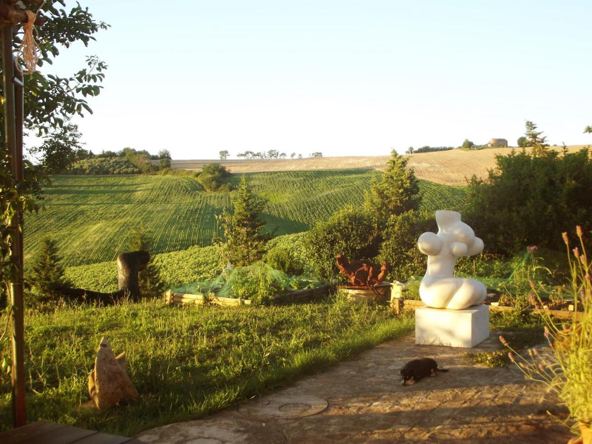 "La Casa Degli Ulivi Art B&B" Trecastelli Екстериор снимка