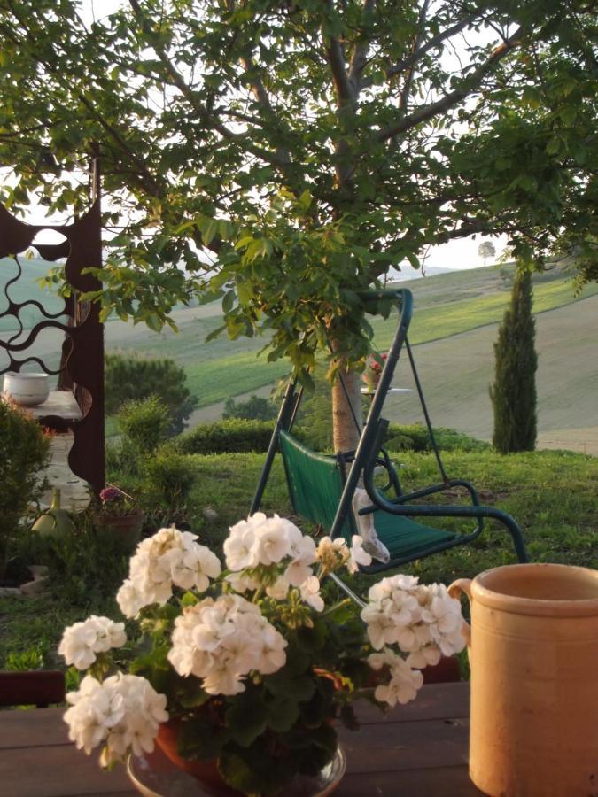 "La Casa Degli Ulivi Art B&B" Trecastelli Екстериор снимка