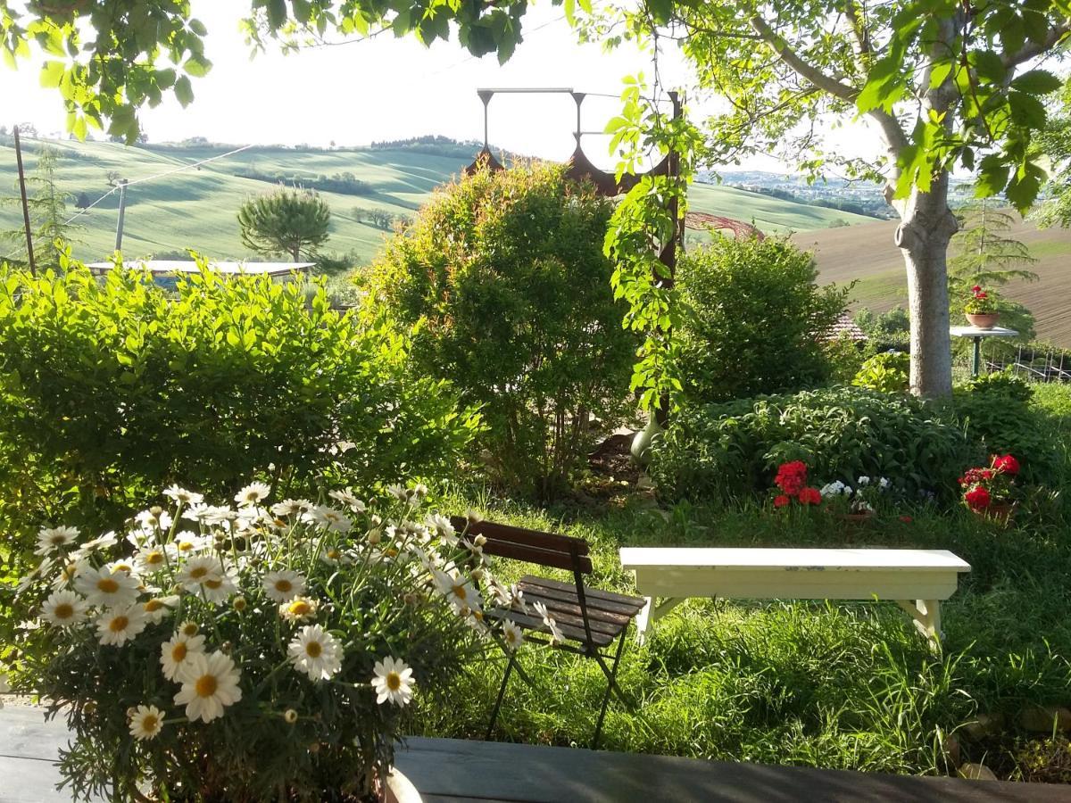 "La Casa Degli Ulivi Art B&B" Trecastelli Екстериор снимка