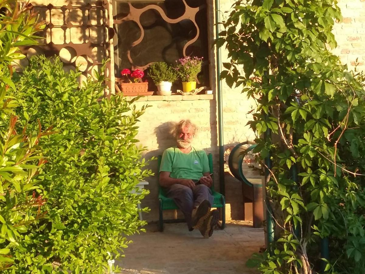 "La Casa Degli Ulivi Art B&B" Trecastelli Екстериор снимка