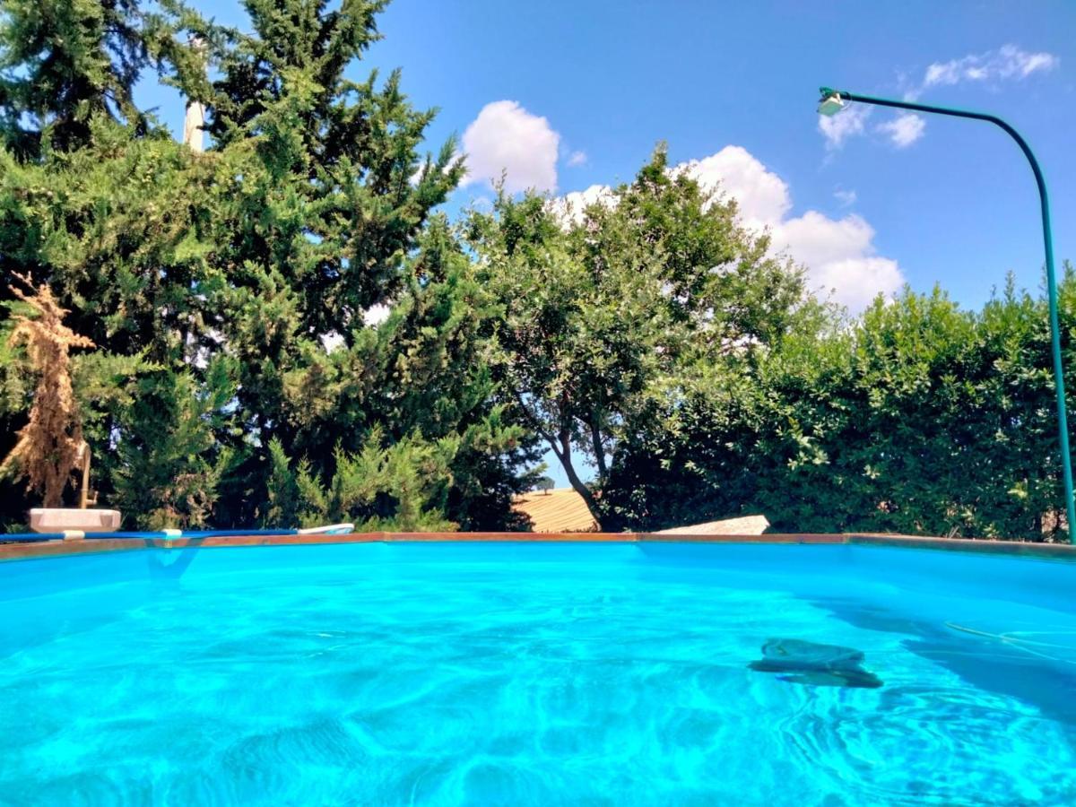 "La Casa Degli Ulivi Art B&B" Trecastelli Екстериор снимка